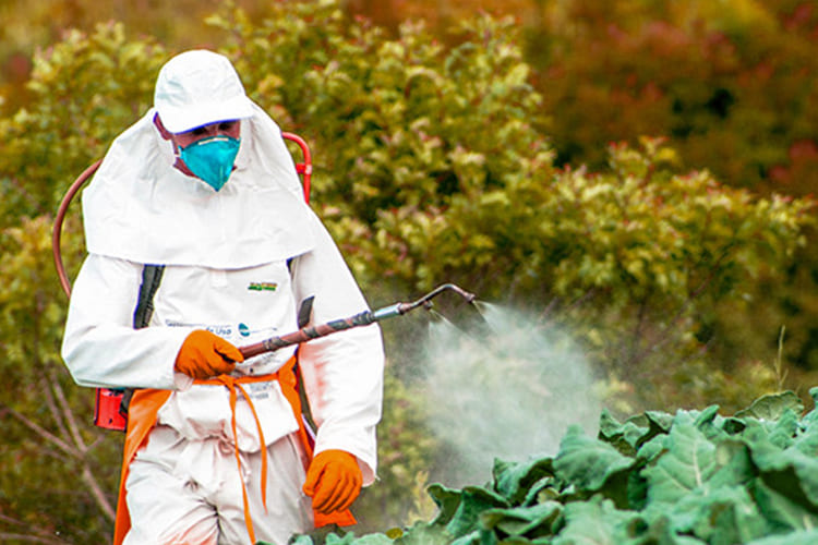 Pesticides_blog_image