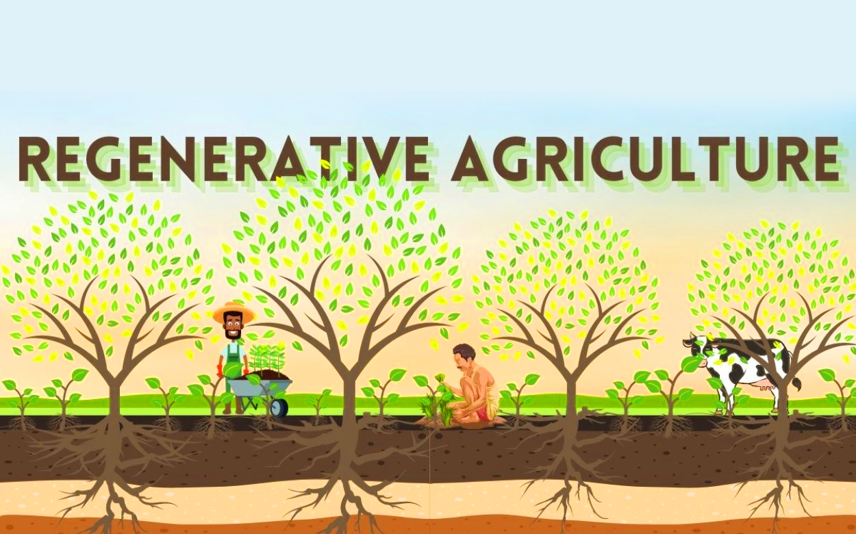 RegenerativeAgriculture_blog_image