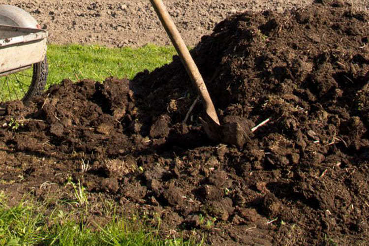 The Role of Composting in Organic Farming-blog-image