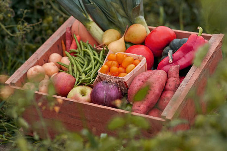 How to Market Your Organic Farm Products Online img