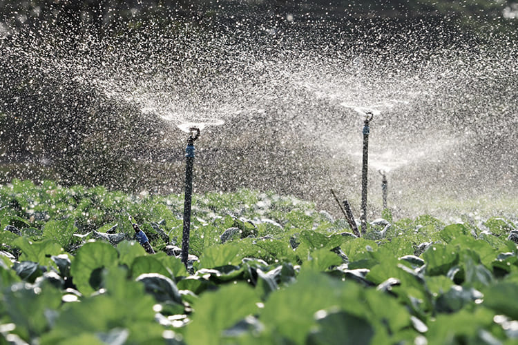 How Precision Irrigation Method Helps Agriculture img