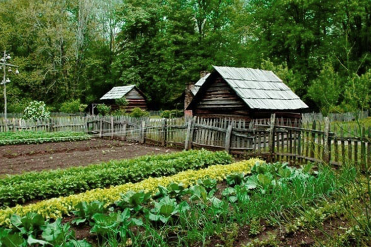 eco-friendly agriculture-blog-image