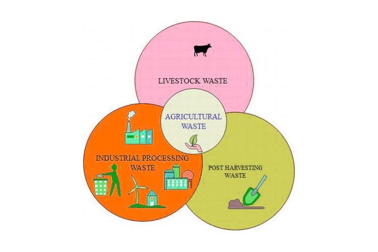 reduce-waste-in- agriculture-blog-image