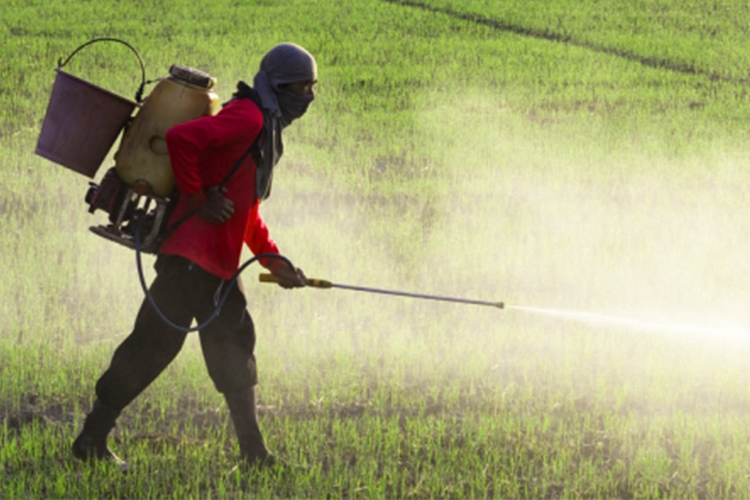 synthetic-pesticides-and-fertilizers-image