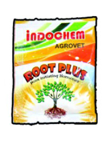 Root Plus-product-image