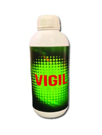 VIGIL-product-image