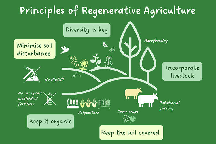 regenerative-agriculture-blog-image