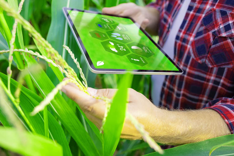 latest-smart-technologies-that-impact-organic-farming-blog-image